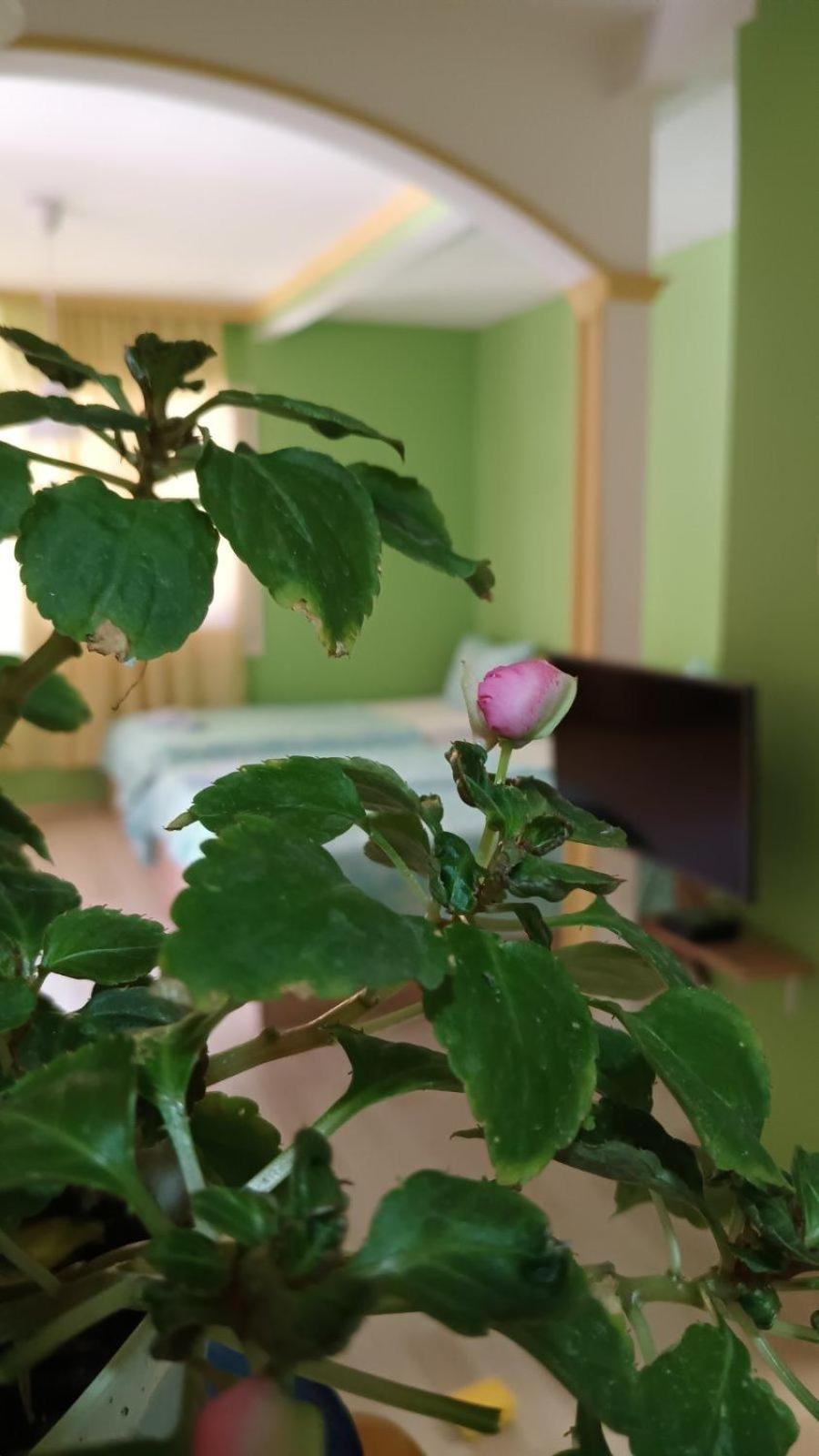 Apartamento Re3ca *